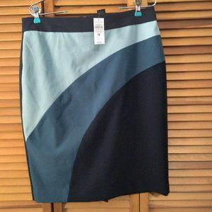NWT Ann Taylor Skirt
